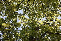 20190420_153207.jpg