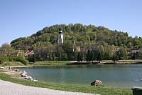 20190420_155229.jpg