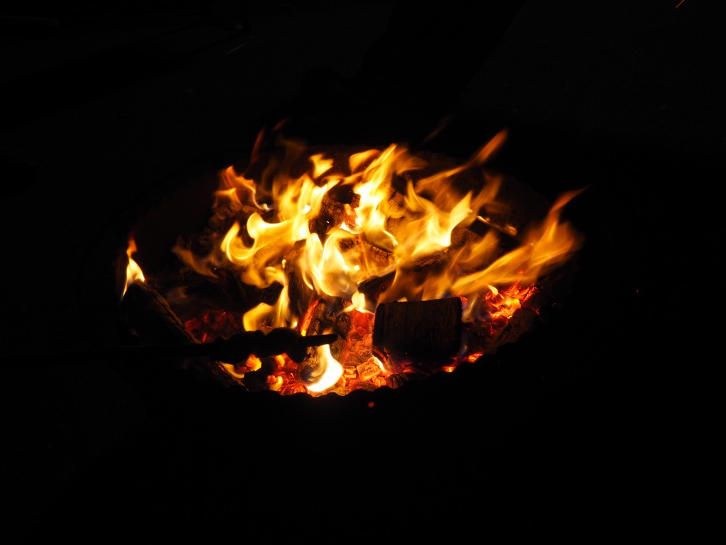 20190426_212857.jpg