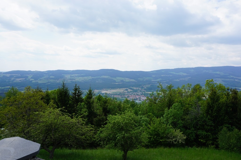20190525_121624.jpg