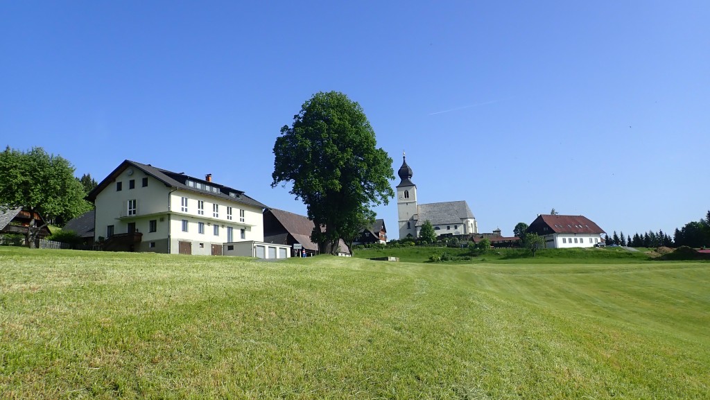 20190610_154821.jpg