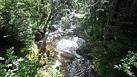 20190610_153225.jpg