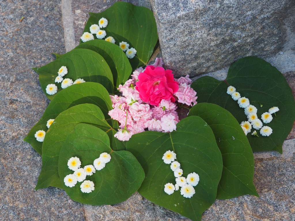 20190620_083852.jpg