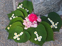 20190620_083852.jpg