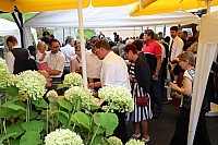20190728_103318.jpg
