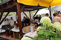 20190728_103324.jpg