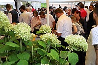 20190728_103330.jpg