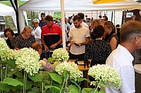 20190728_103553.jpg