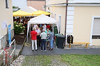 20190728_104248.jpg