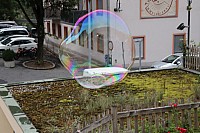 20190728_105952.jpg