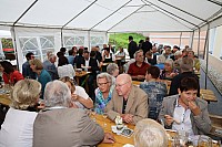 20190728_113116.jpg