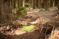 20190805_111240.jpg