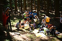 20190805_120610.jpg