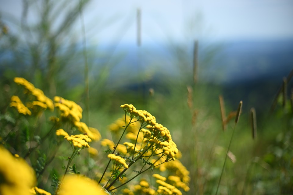 20190807_111822.jpg