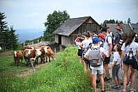 20190807_150254.jpg