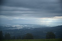 20190808_084651.jpg