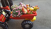 20191006_090013.jpg