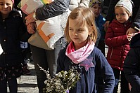 20200307_103337.jpg