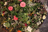 20200815_080416.jpg