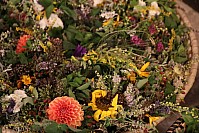 20200815_080434.jpg