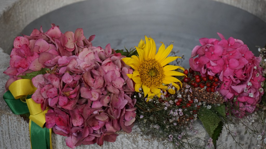 20201004_095615.jpg