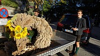 20201004_082437.jpg