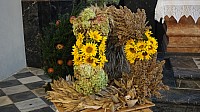 20201004_094220.jpg