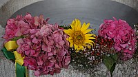 20201004_095615.jpg